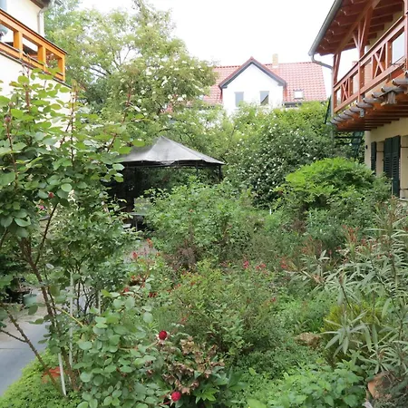 1 Am Zwenkauer - Frisch Renoviert In Jan 25 Apartman *