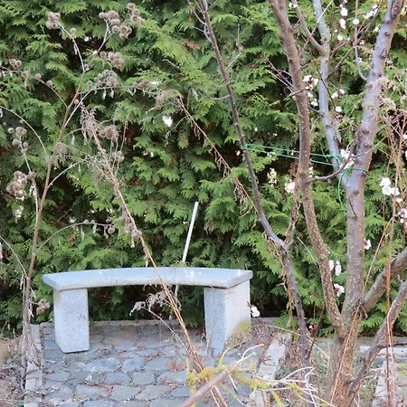 Apartman 1 Am Zwenkauer - Frisch Renoviert In Jan 25 *